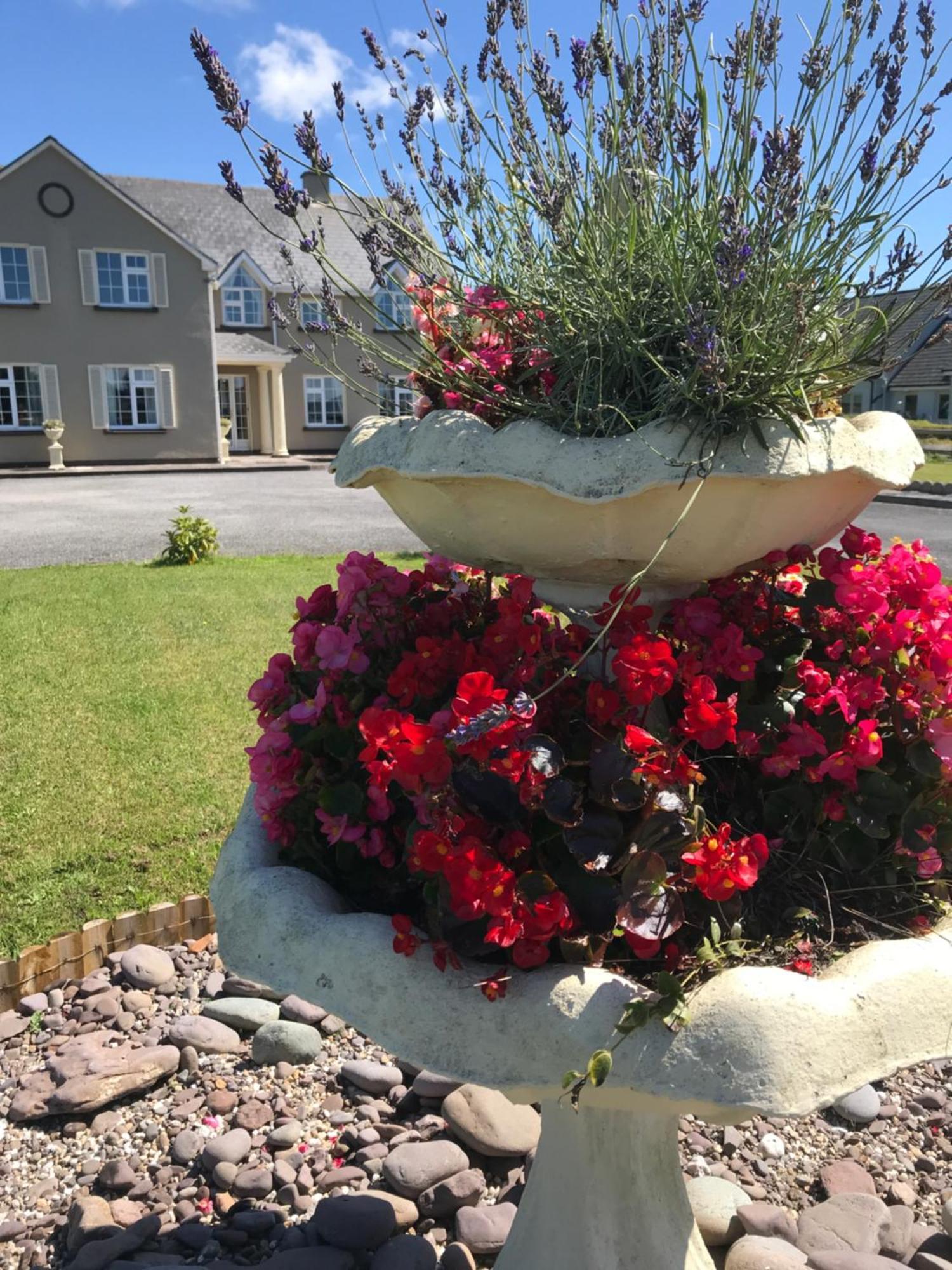 O Gradys Townhouse Bed&Breakfast Waterville Eksteriør billede